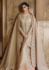 Formals - Qalamkar - Shadmani 25 - Wedding Festive - RH#07 - AMEERA
