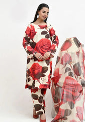 Pret - Imran Aftab - Zara Premium - Raw Silk 26 - IAVD#07