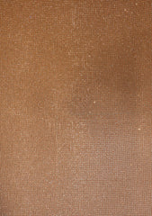 Shamoz Silk With Stone Work - ASPL#41