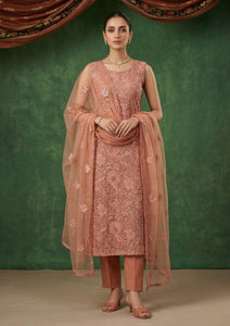 Formals - Riwaj - Fancy Net - 2 Pcs Suit - CND#1208 - Peach