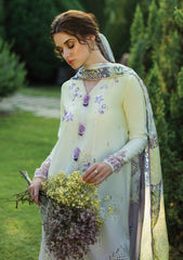 Lawn - Mushq - Solace Ombre Chikankari - MC25#01 - Gioia