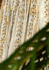 Bahawalpuri Pehnawa - Exclusive Edition - BPD#03