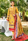 Winter Collection - Bin Ilyas - Maya Jahan - D#763 A