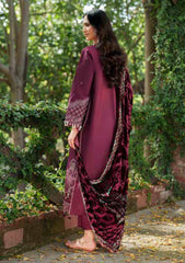 Winter - Parishay - Panache - Palachi Shawl 25 - PNE#07