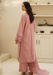 Winter - Humdum - Mushak - Embroidered Karandi - H25#04