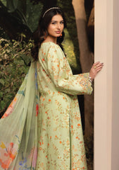 Lawn - Humdum - Gardenia 26 - D#07