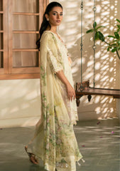 Lawn - Humdum - Mehrmaa 26 - D#01 - Angoori