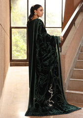 Winter - Rajbari - Winter Shawl - Exclusive 25 - D#09