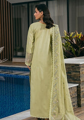 Lawn - Coral - Summer Festive - Luxury 26 - SF#06