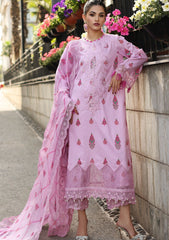 Lawn Collection - Charizma - Rang-e-Bahar Vol 2 - CB24#09