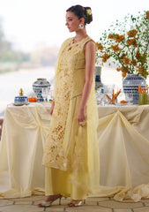 Lawn - Mahnur - Nilofer Luxury 26 - NL#07
