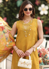 Lawn - Noor by Saadia Asad - Luxe Chikankari 26 - NLC#10