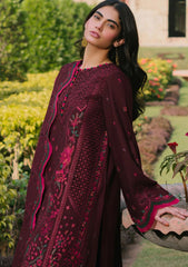 Winter Collection - Bin Ilyas - Gulabi Baagh - BI24GB 154-B