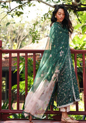 Lawn - Qalamkar - Q Prints - Unstitched 26 - QQL#09-B - Greer