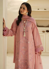 Winter - Humdum - Mushak - Embroidered Karandi - H25#04