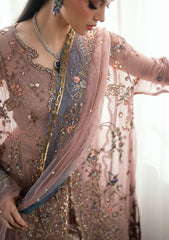 Formals - Mushq - Shaam Shandar - Chiffon 25 - ROOP RANGOLI