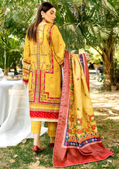 Winter Collection - Bin Ilyas - Maya Jahan - D#763 A