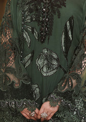 Formals - Maria B - Royale Tea Affair - Chiffons 26 - D#07