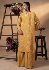 Winter Collection - Humdum - Raya - HR24#05