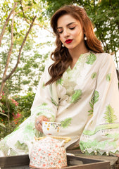 Lawn - M.basics - Eid II - Unstitched 25 - 06B
