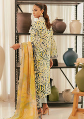 Winter Collection - Al Zohaib - Sunshine Bloom - Cotton Silk -ALCS24#06