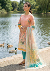 Lawn - Rubaaiyat - R Prints 26 - Volume 2 - RP2#14 - Peach