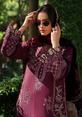 Winter - Parishay - Panache - Palachi Shawl 25 - PNE#07