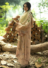 Winter - Elaf Premium - Wilderness - Pashmina Shawl Edit 26 - EWR#4A - PRIMROSE