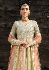 Formals - Rang Rasiya - Wedding Formals 25 - RR#02 - Amil