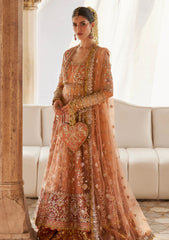 Formals - Zaha - Gossamer - Unstitched Wedding - Festive 25 - ZC#08 - GUL-E-MAHNOOR