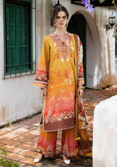 Winter - Mushq - Hemline Mirasol - Intermix 25 - HML#03A - Desierto Sol