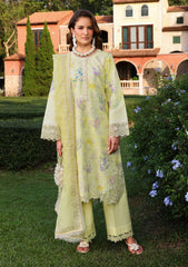 Lawn - Rang Rasiya - Florence - Premium Summer 26 - MISHA