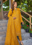 Winter Collection - Bin Rashid - Jahanara - BRJ24#06