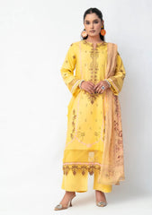 Winter - Ambers Eliana - Ava - Karandi 25 - AEKC-UF#16