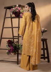 Winter Collection - Humdum - Raya - HR24#05