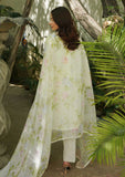 Lawn Collection - MM Manara - Luxury Lawn 24 - ML#09 - Motia