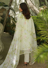 Lawn Collection - MM Manara - Luxury Lawn 24 - ML#09 - Motia