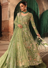 Formals - Crimson - Jhilmil Wedding 26 - CW-D#05 - MATWALI