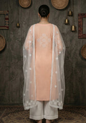 Formals - Riwaj - Fancy 26 -  Thread Work - 2 Pcs - D#01 - Beige