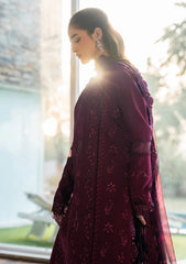 Lawn - Rang Rasiya - Carnation Eid 26 - RRV4SCD#015 - Nora