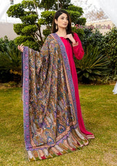 Pure Pashmina Handmade Shawl D - 0055