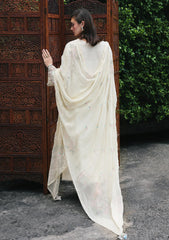 Lawn - Qalamkar - Qline 26 - Drop 1 - RP#01 - SAVERA