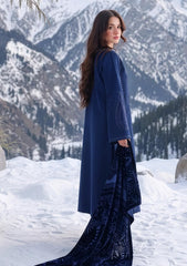 Winter - Rang Rasiya - Carnation Unstitched 26 - RR#12 - Nox