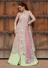 Formals - Crimson - Jhilmil Wedding 26 - CW-D#04 - TILSAM