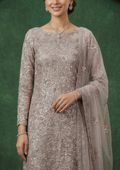 Formals - Riwaj - Fancy Net - 2 Pcs Suit - CND#1208 - Grey