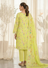 Lawn - Rubaaiyat - R Prints 26 - Volume 3 - D#34 - Lemon