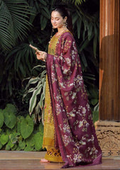 Winter - Maryam Hussain - Winter Shawl 25 - Soz