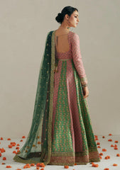 Formals - Vera - Wedding Festive 26 - Rang Multicolor Anarkali Set