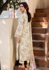 Winter - Humdum - Zaiba - Karandi 25 - D#08