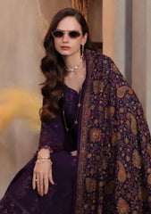 Winter - Noor By Saadia Asad - Pashmina Shawl 26 - D#01